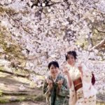 着物 de 桜 in 京都　